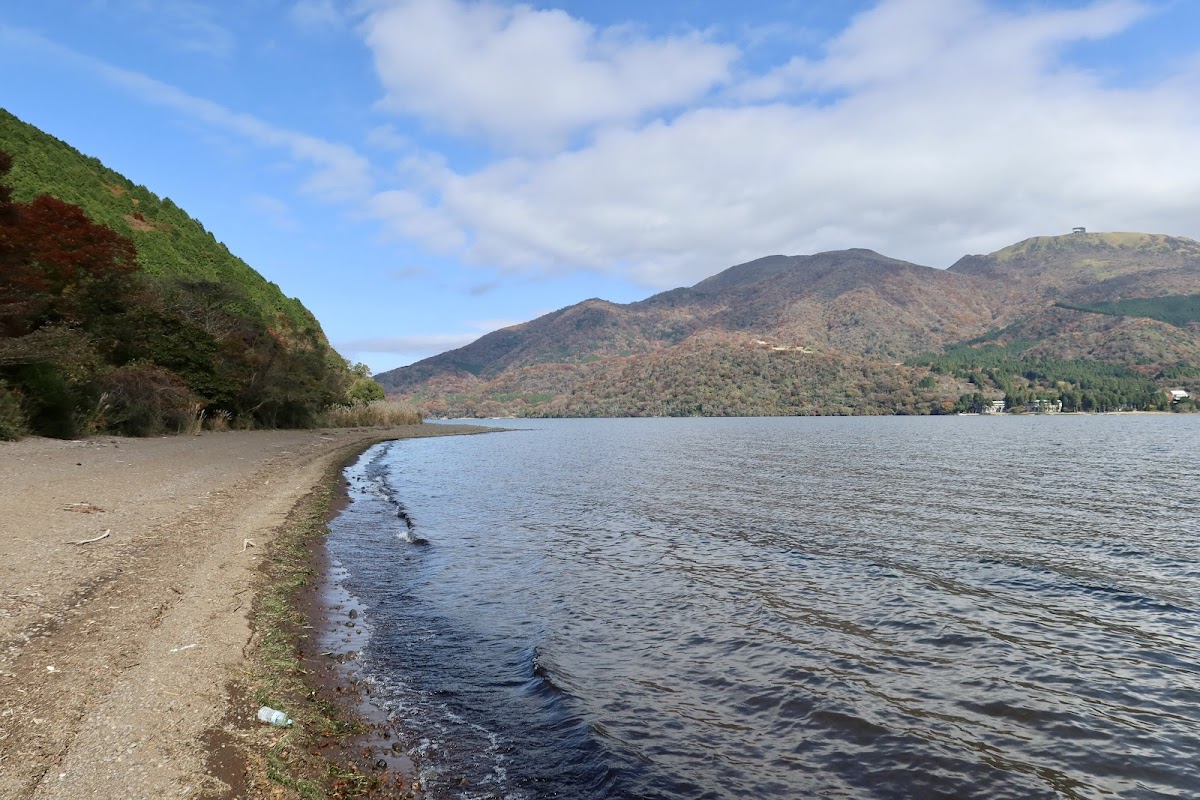 芦ノ湖西岸 静寂の湖畔遊歩道 の写真 3