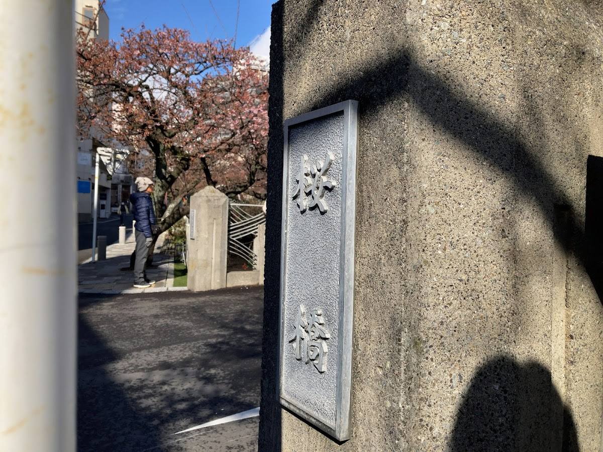 熱海 糸川桜とサンビーチの海辺散歩 の写真 5