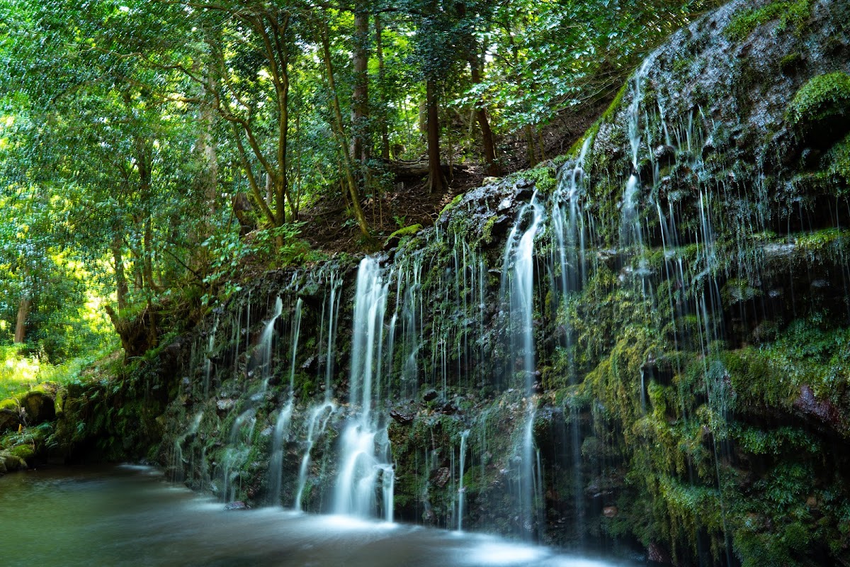 千条の滝 森の散策コース