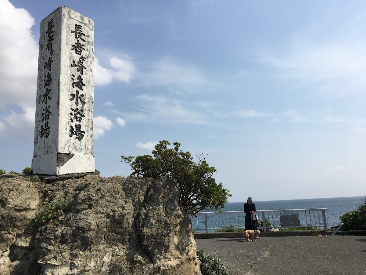 長者ヶ崎 周回ルート の写真 4