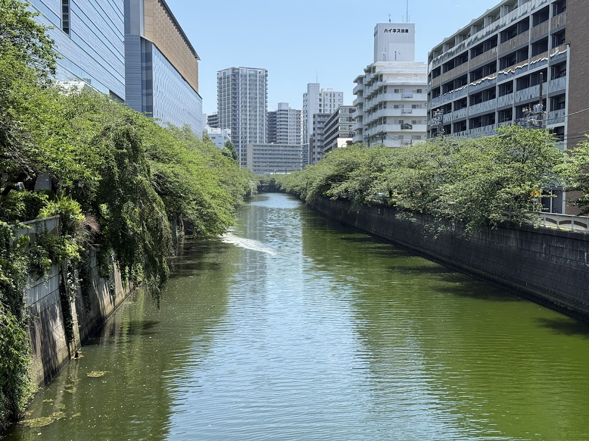 代官山・中目黒