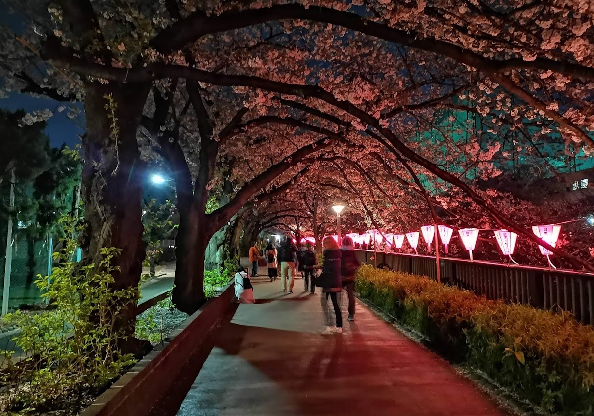 代官山・中目黒おしゃれ散歩 の写真 2