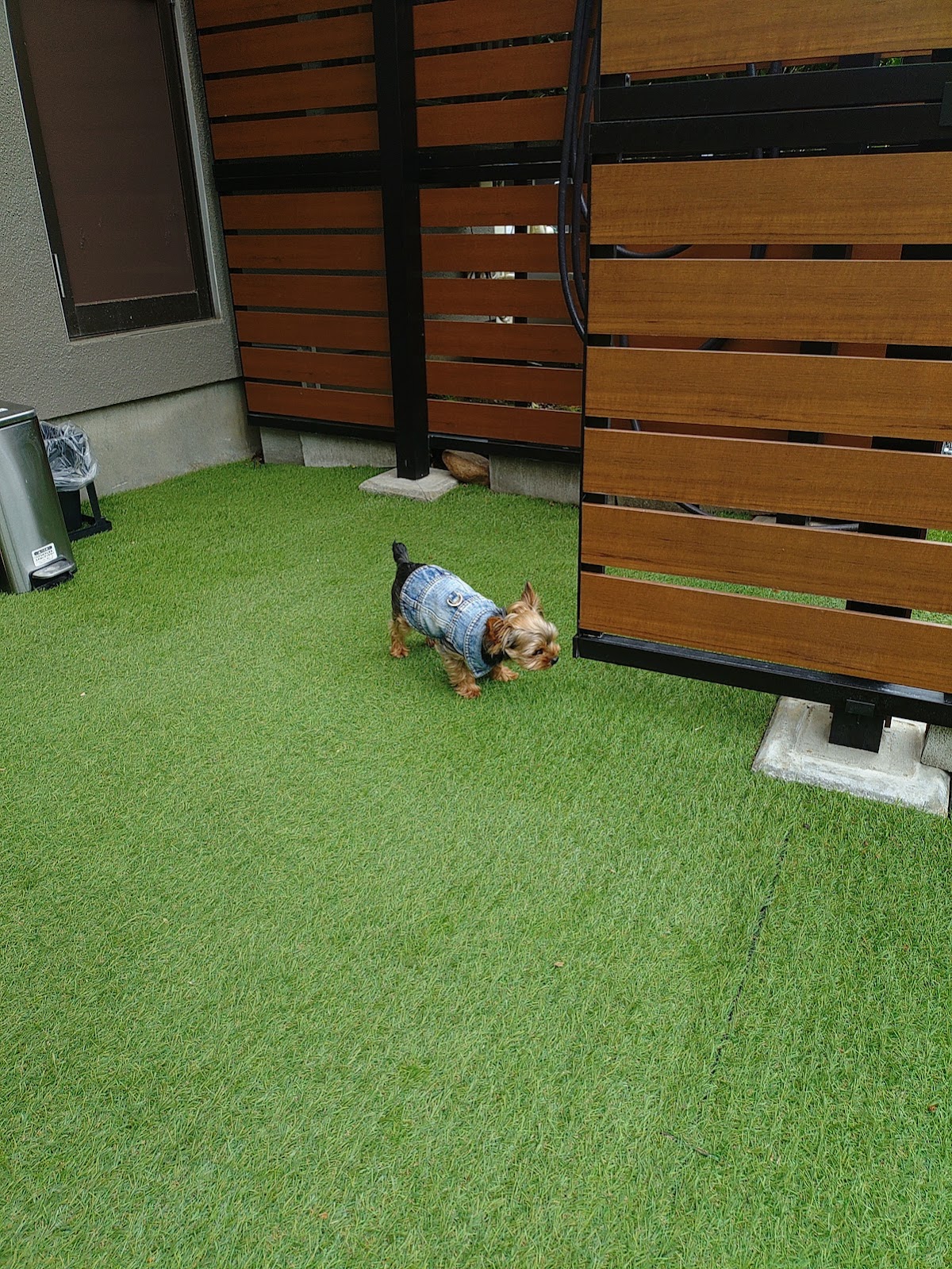 DogHub周遊コース の写真 3