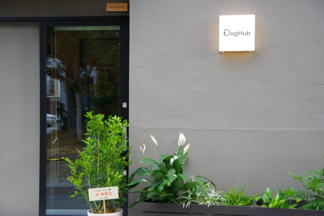 DogHub周遊コース の写真 4