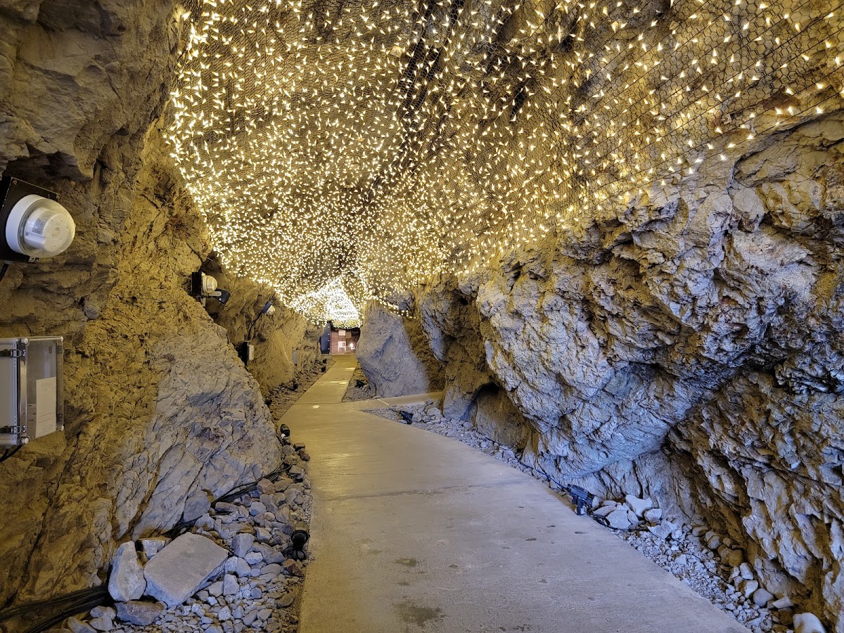 江ノ島 岩屋と稚児ヶ淵の冒険散歩 の写真 3