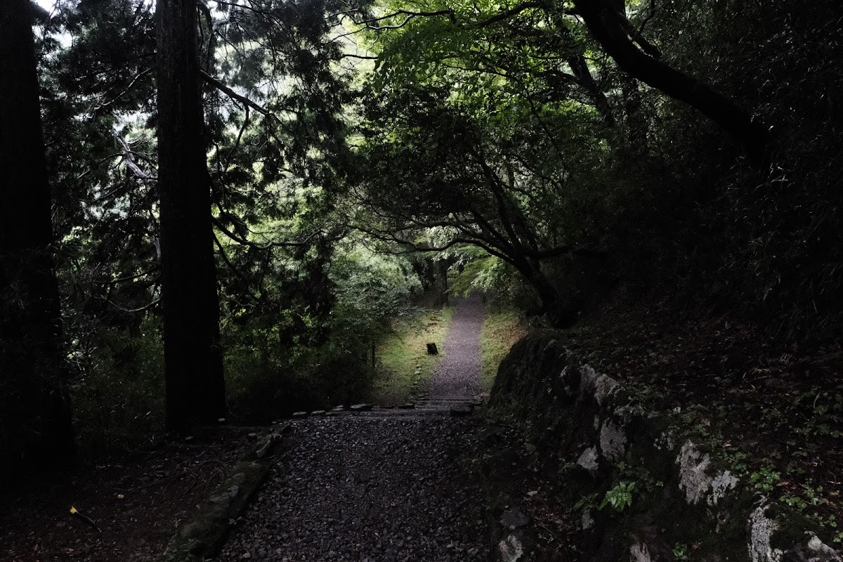 箱根関所〜旧街道杉並木コース の写真 2