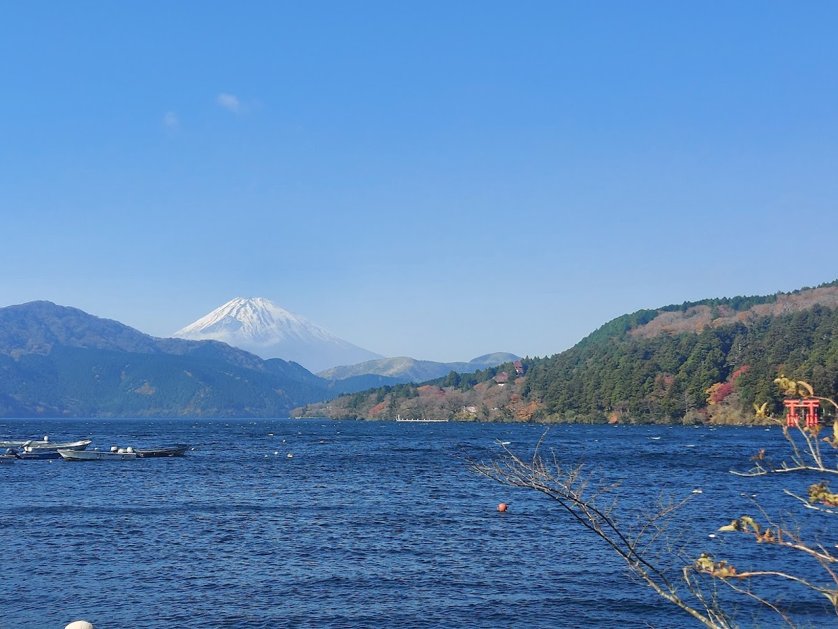 箱根関所〜旧街道杉並木コース の写真 4
