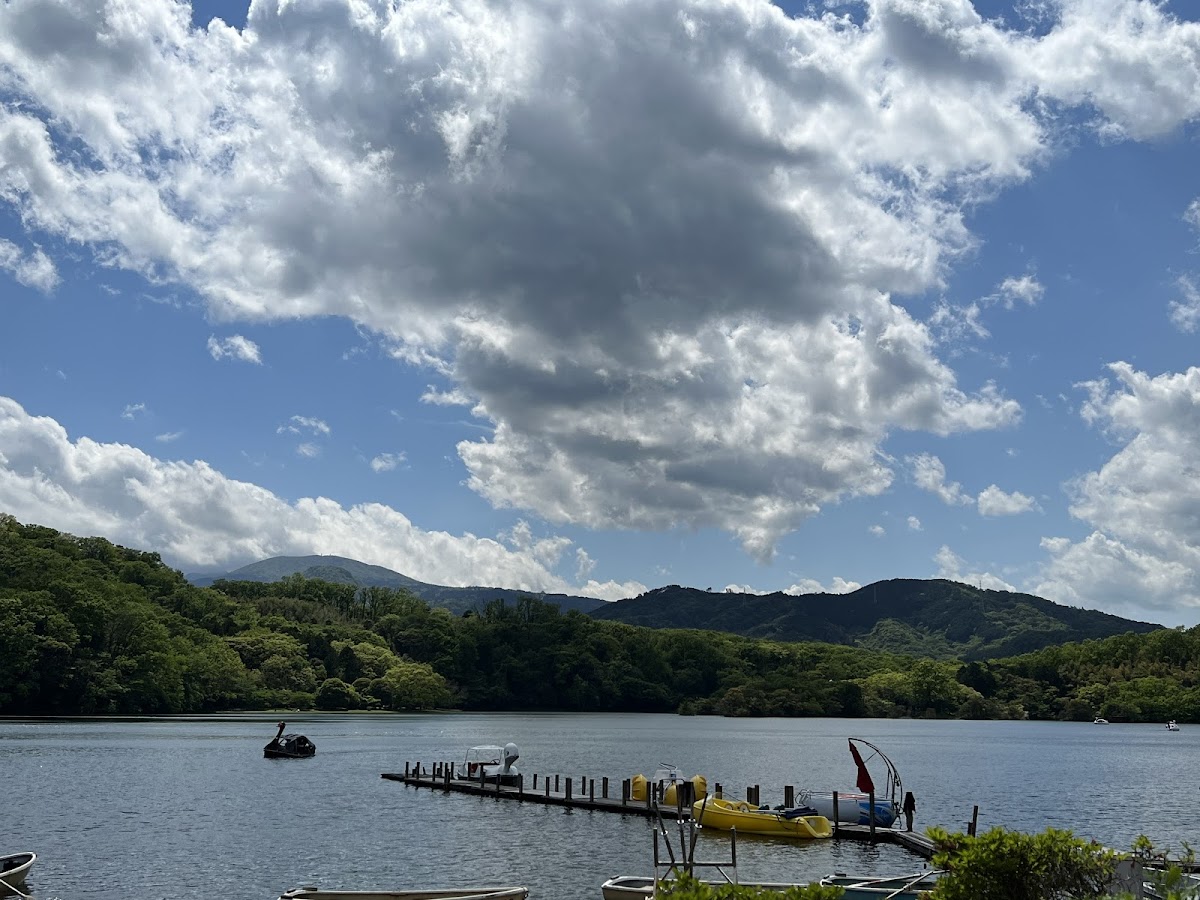 一碧湖 伊豆の瞳を巡る湖畔散歩 の写真 2