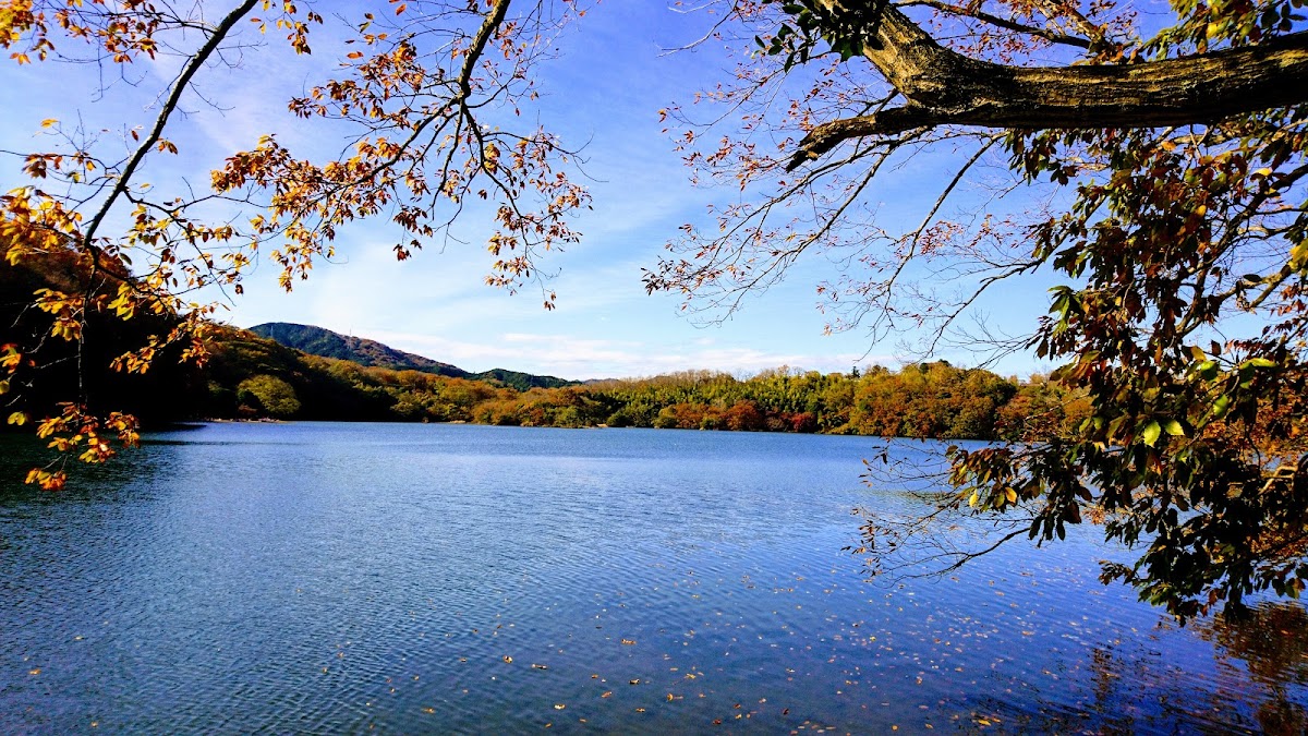 一碧湖 伊豆の瞳を巡る湖畔散歩 の写真 3
