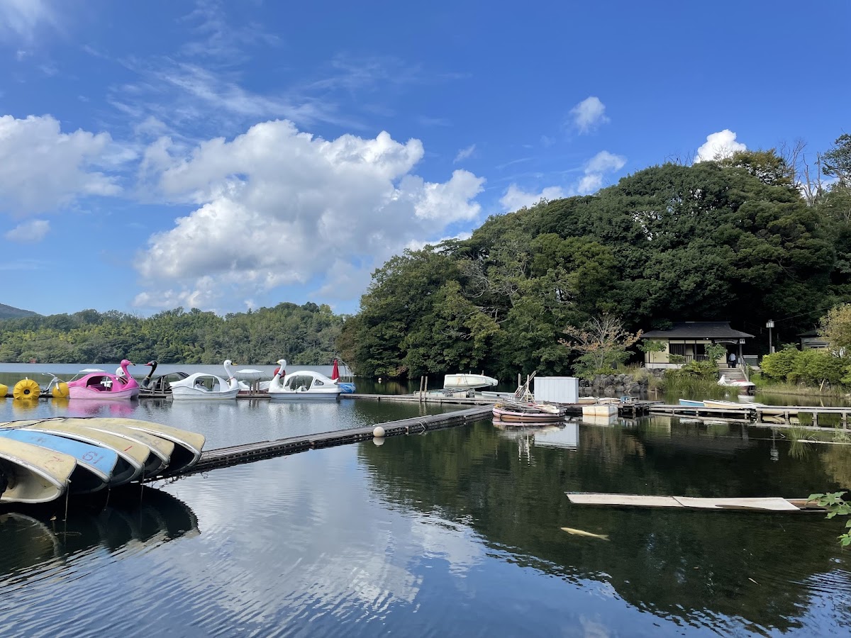 一碧湖 伊豆の瞳を巡る湖畔散歩 の写真 4