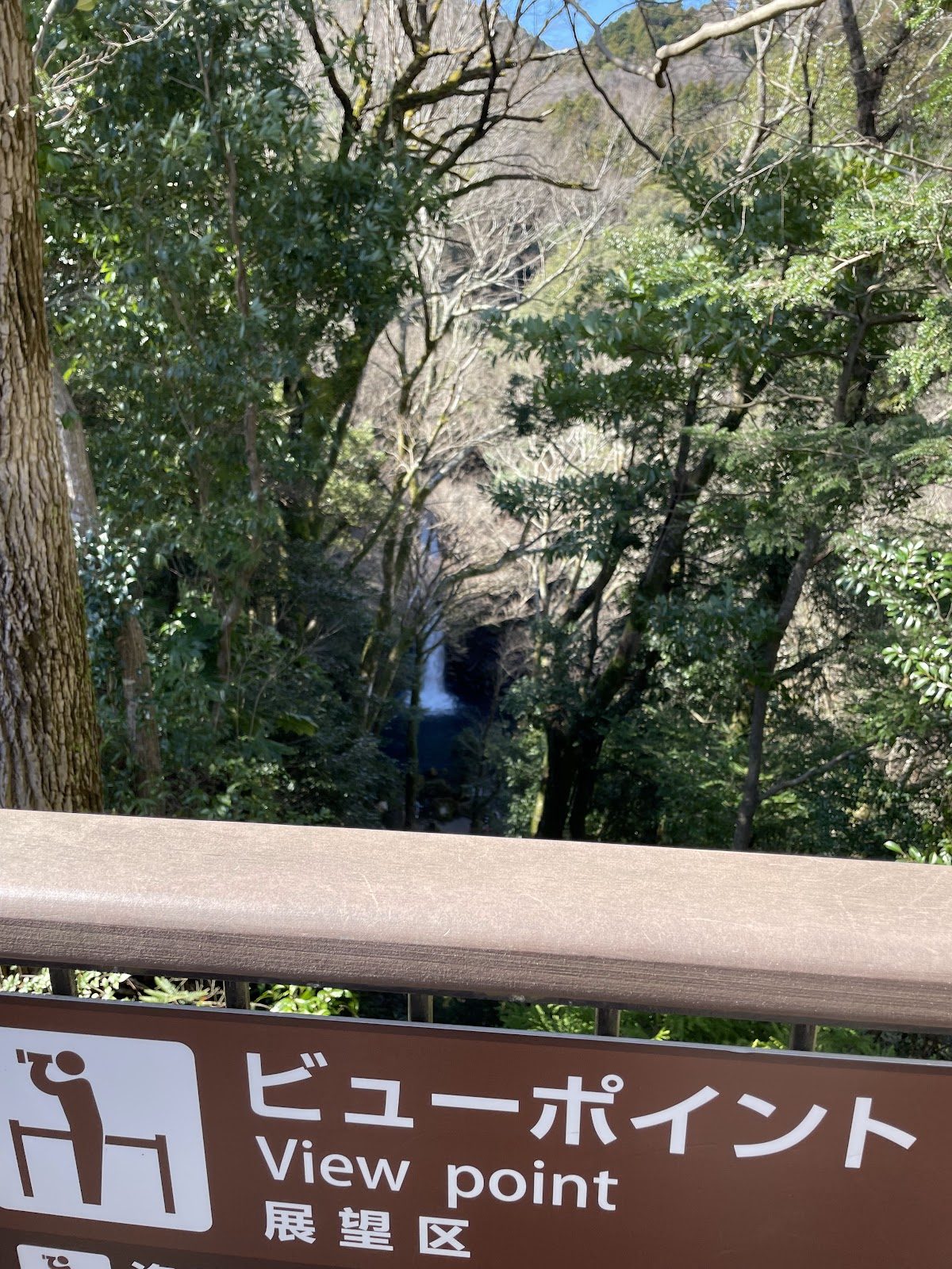 浄蓮の滝〜わさび田 伊豆中部の渓谷散歩 の写真 4