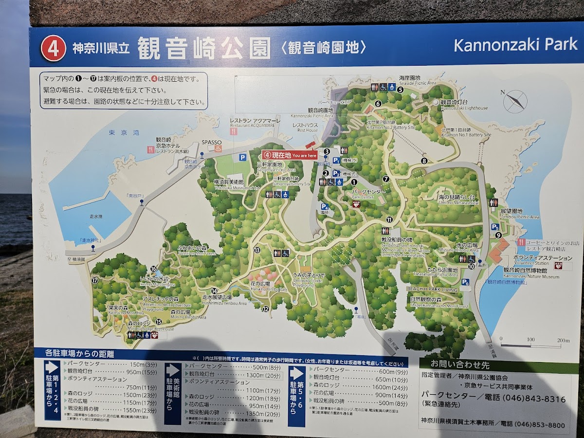 観音崎公園 海と灯台の磯散歩 の写真 2