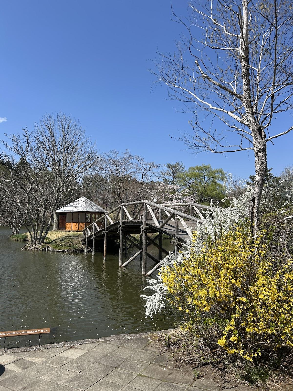 軽井沢タリアセン 塩沢湖畔散歩 の写真 3