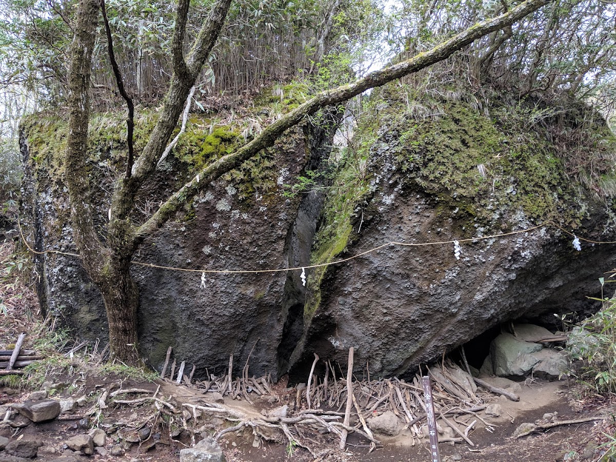 金時山麓 高原ハイキングコース の写真 3
