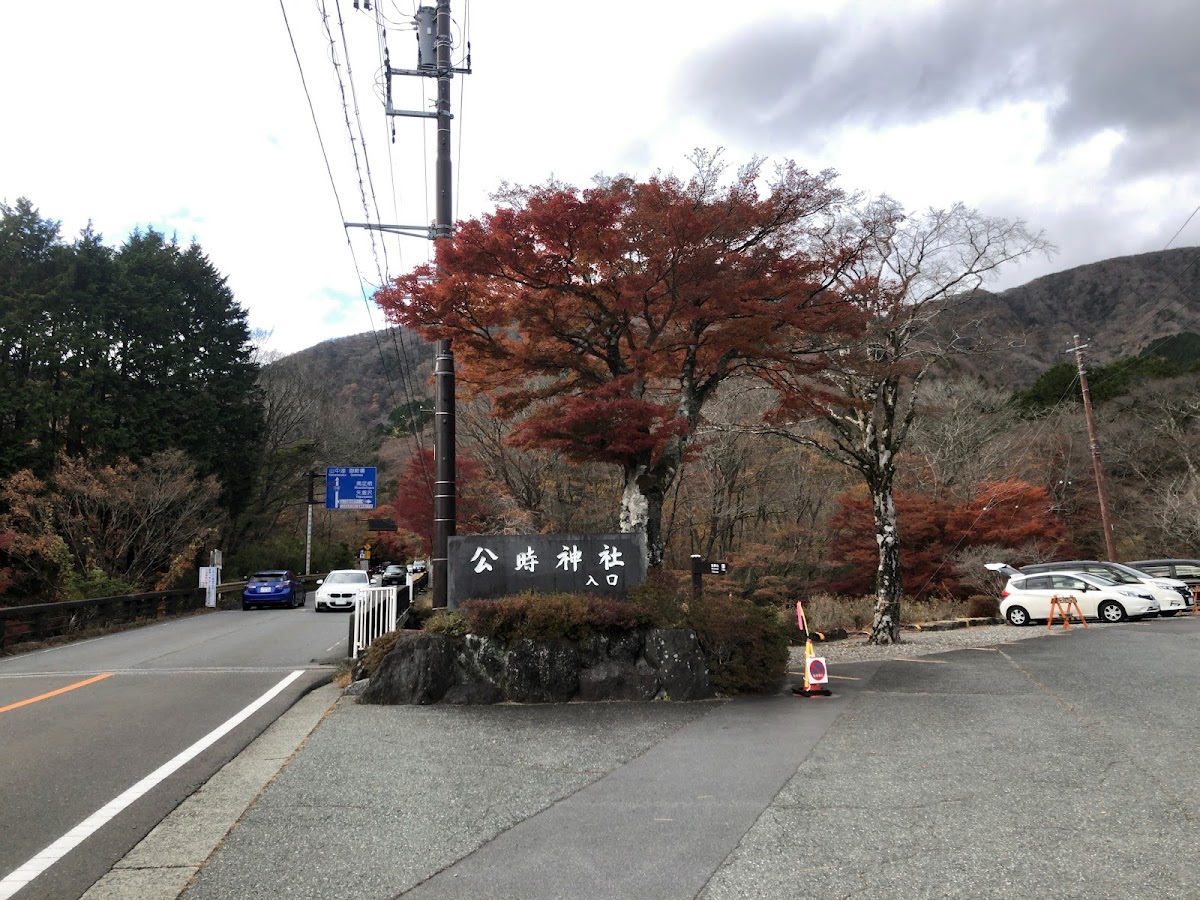 金時山麓 高原ハイキングコース の写真 5