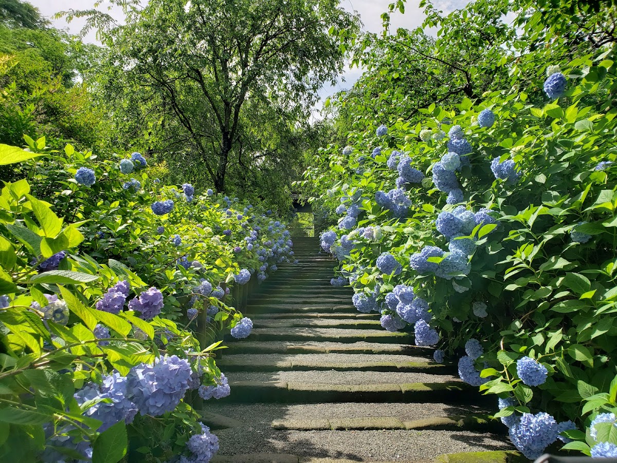 北鎌倉・円覚寺コース の写真 5