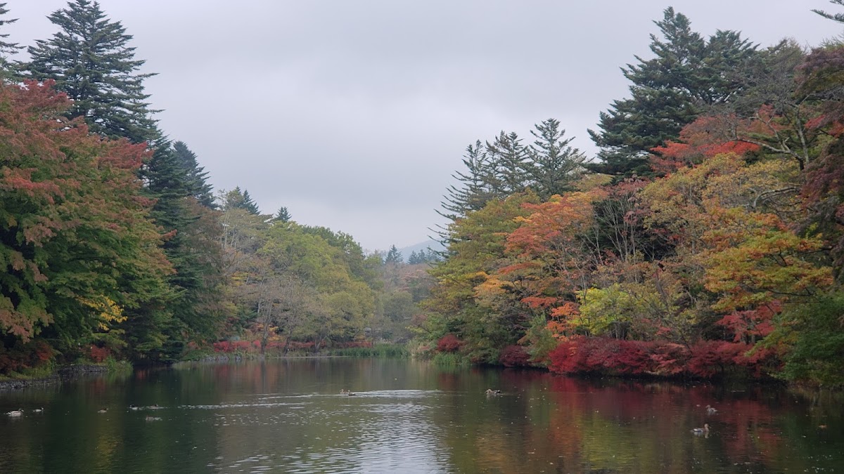 雲場池 軽井沢の水鏡 の写真 2