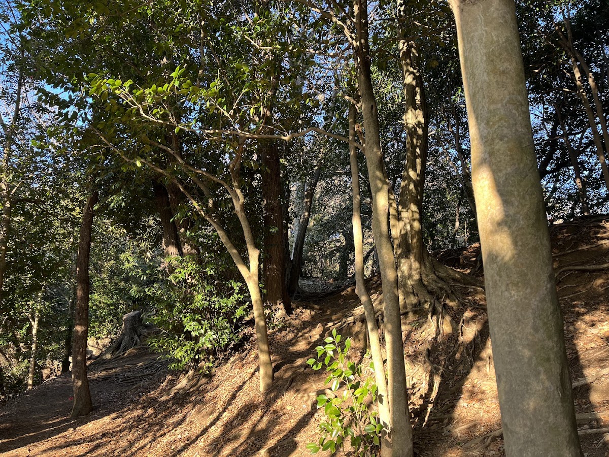葛原岡・大仏ハイキング 鎌倉の山と仏