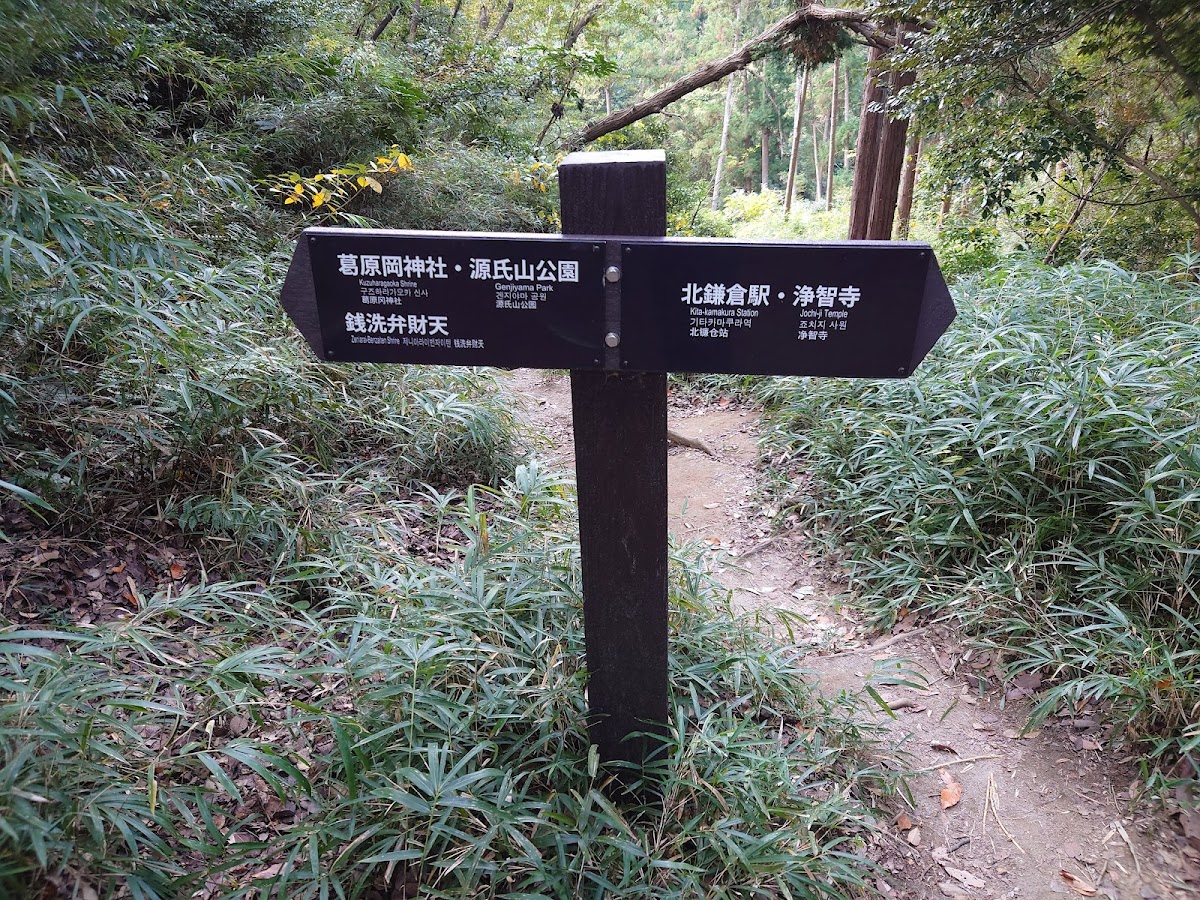 葛原岡・大仏ハイキング 鎌倉の山と仏 の写真 4