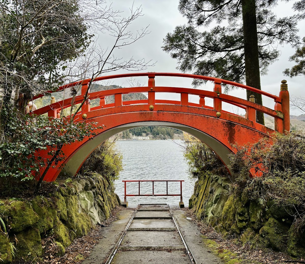 元箱根・箱根神社ロングウォーク の写真 3