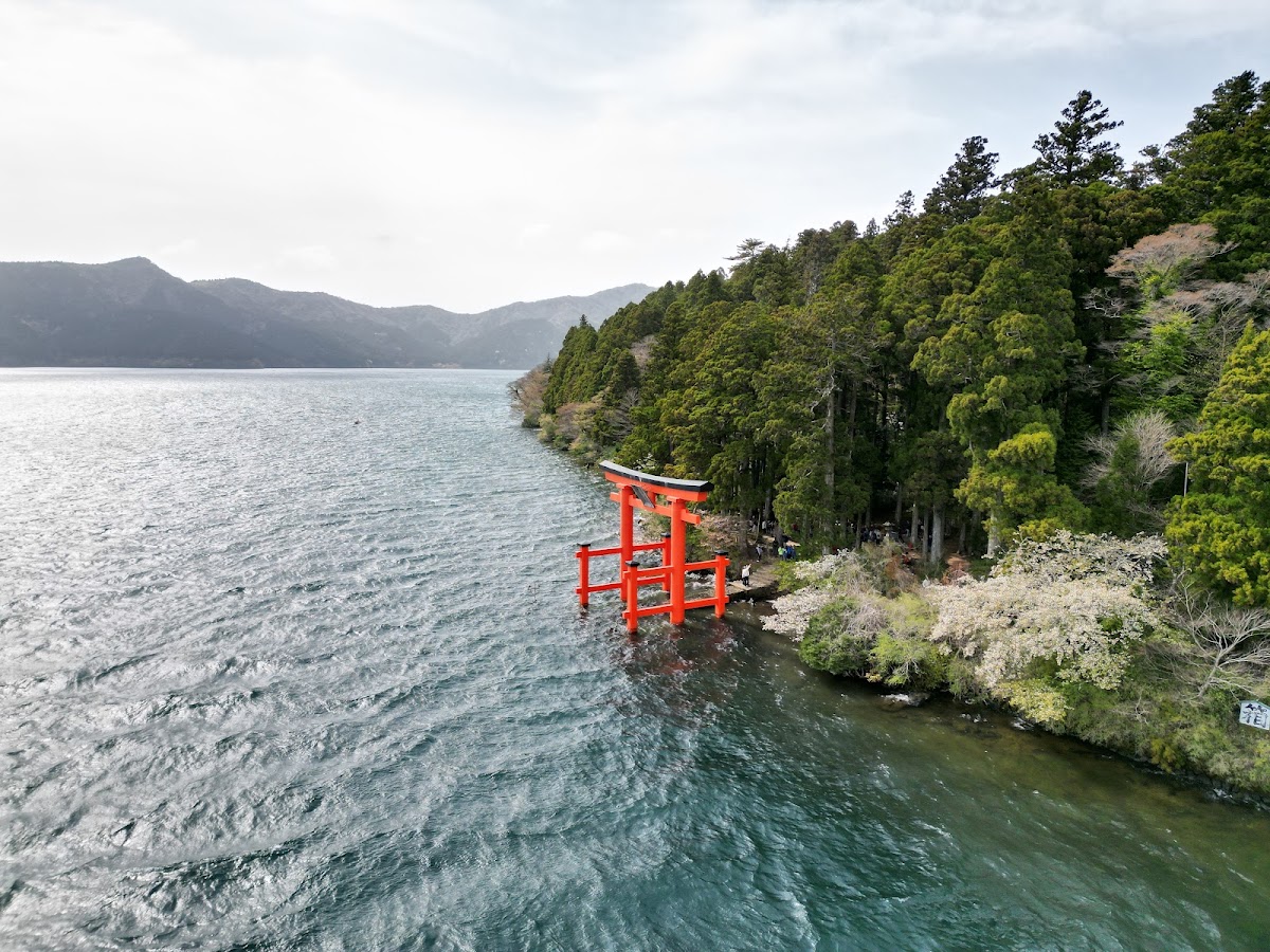 元箱根・箱根神社ロングウォーク の写真 5