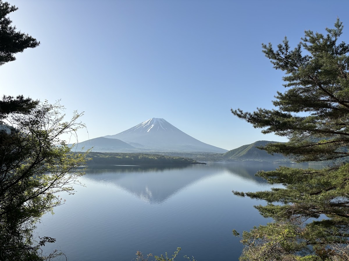 本栖湖 千円札の富士山ビュー散歩 の写真 2