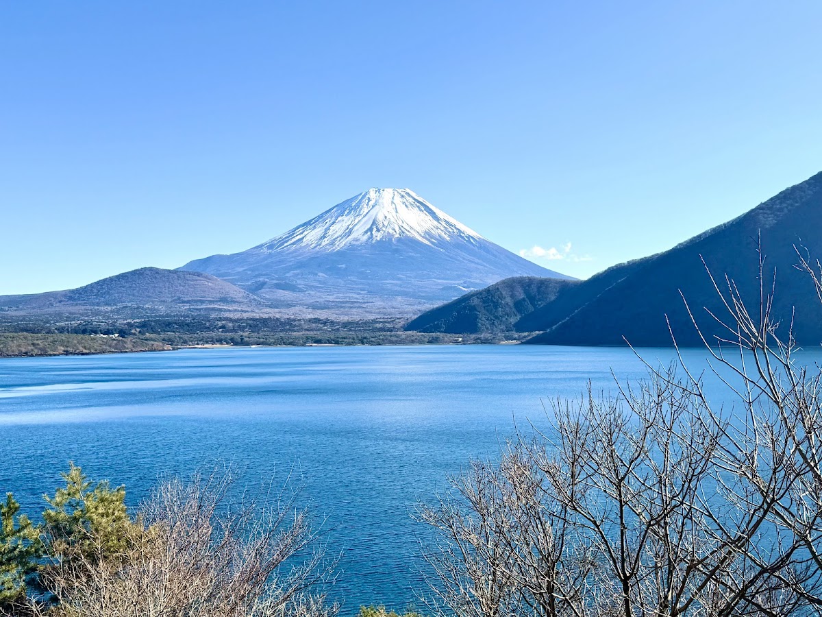 本栖湖 千円札の富士山ビュー散歩 の写真 3