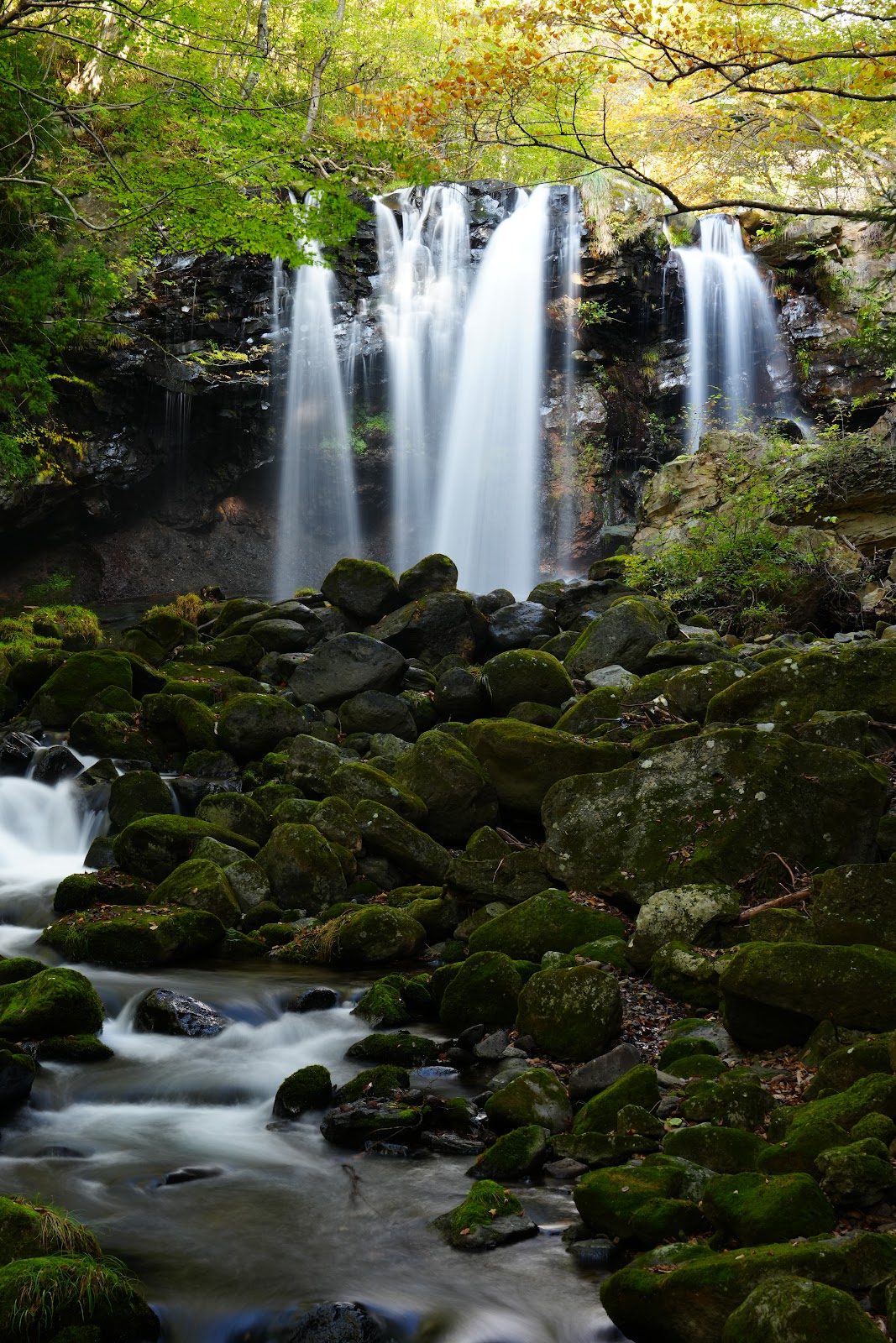 板室温泉 乙女の滝と森林浴散歩 の写真 2