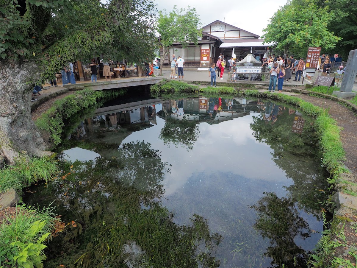 忍野八海 富士の湧水池めぐり の写真 2