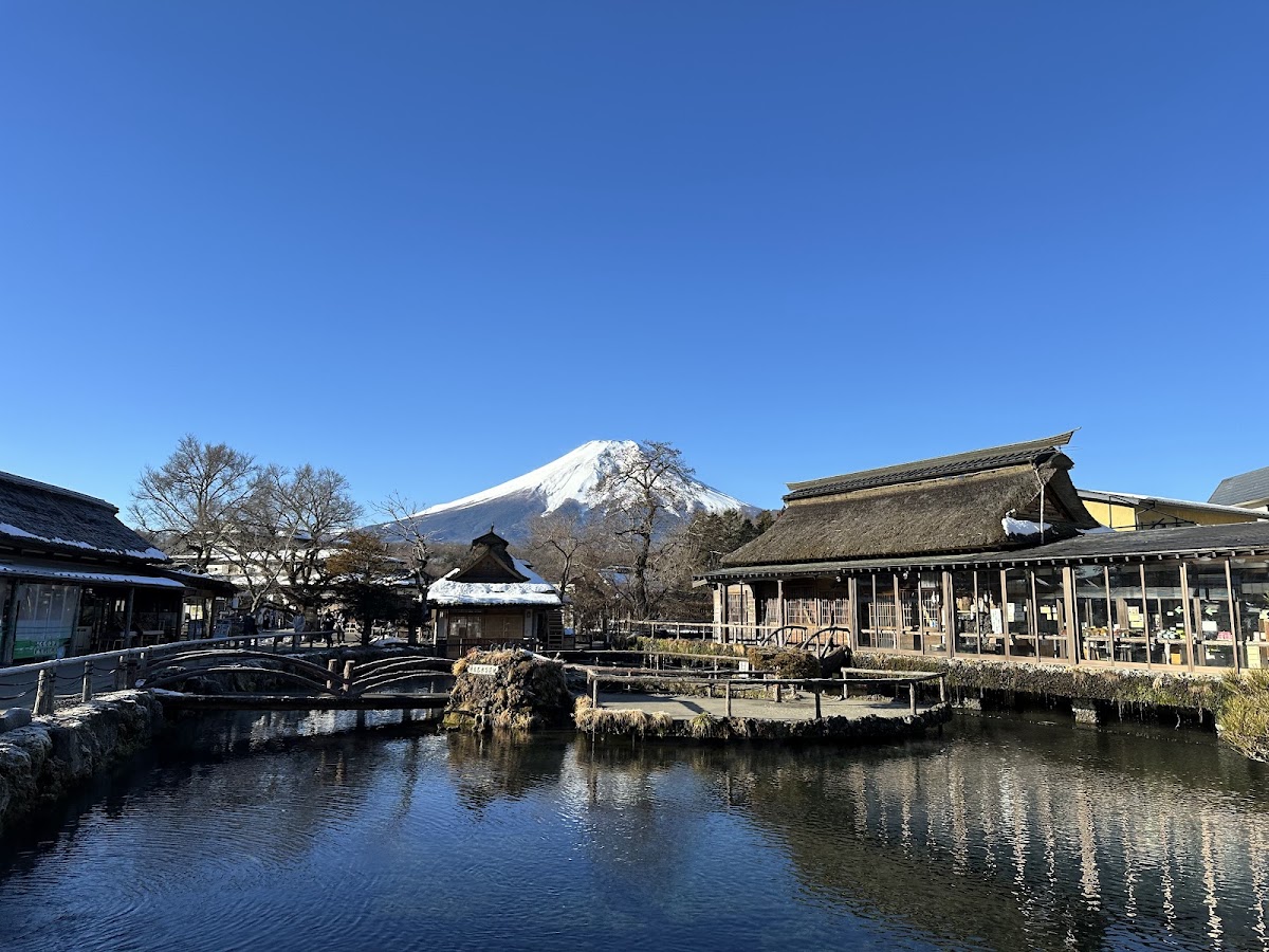 忍野八海 富士の湧水池めぐり の写真 3