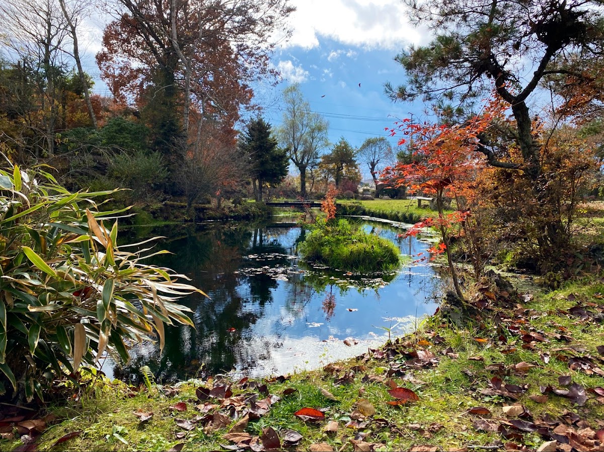 忍野八海 富士の湧水池めぐり の写真 5