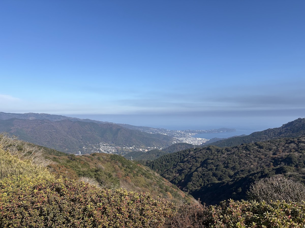遊歩道 ススキに囲まれるエリア
