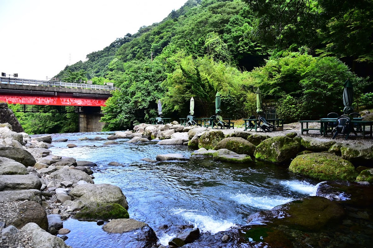 須雲川渓流ビュー
