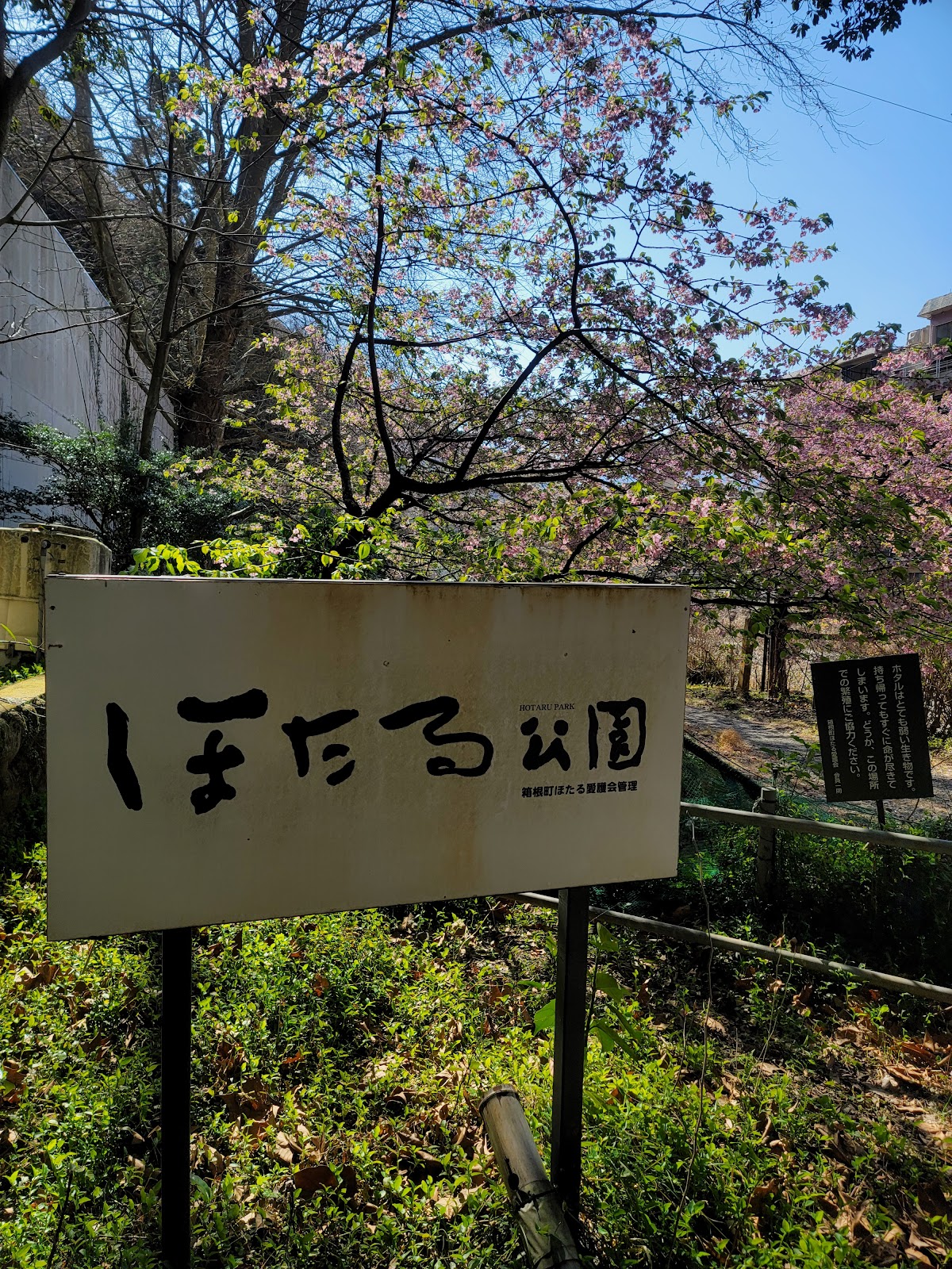 渓流沿いの小道