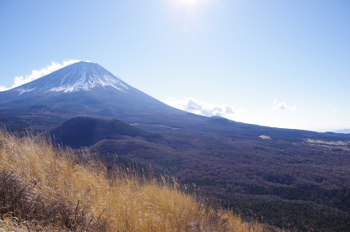 山頂 富士山ビュー
