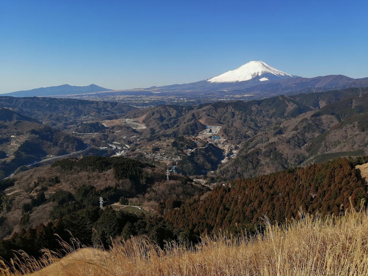 高原の静かな散策路