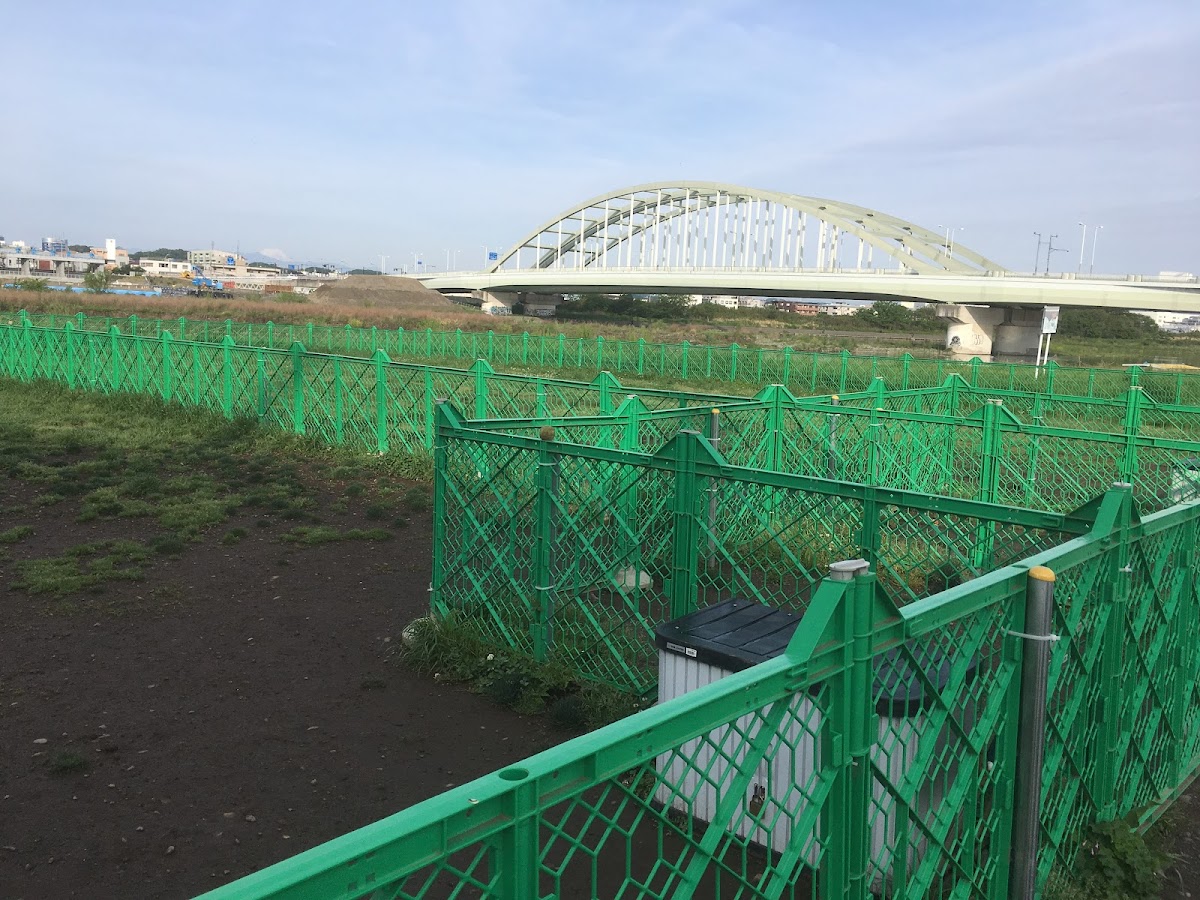 多摩川河川敷ドッグラン(狛江)