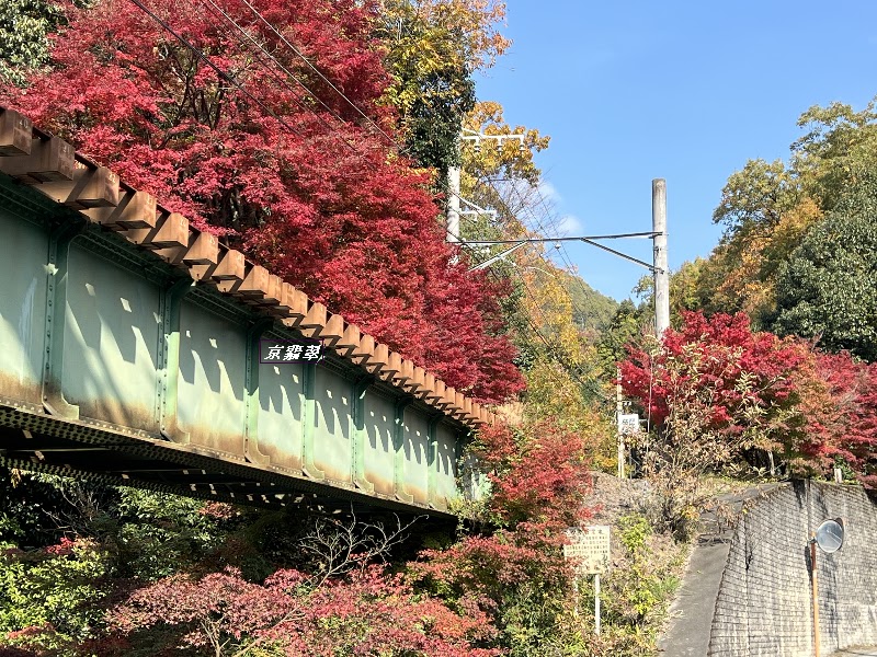 源氏山公園 見晴台