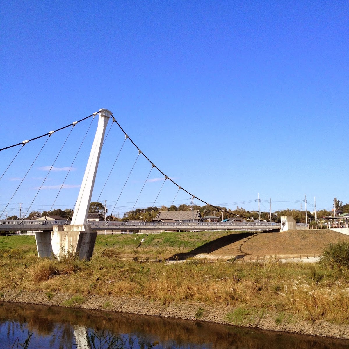 早川対岸 しだれ桜の土手道