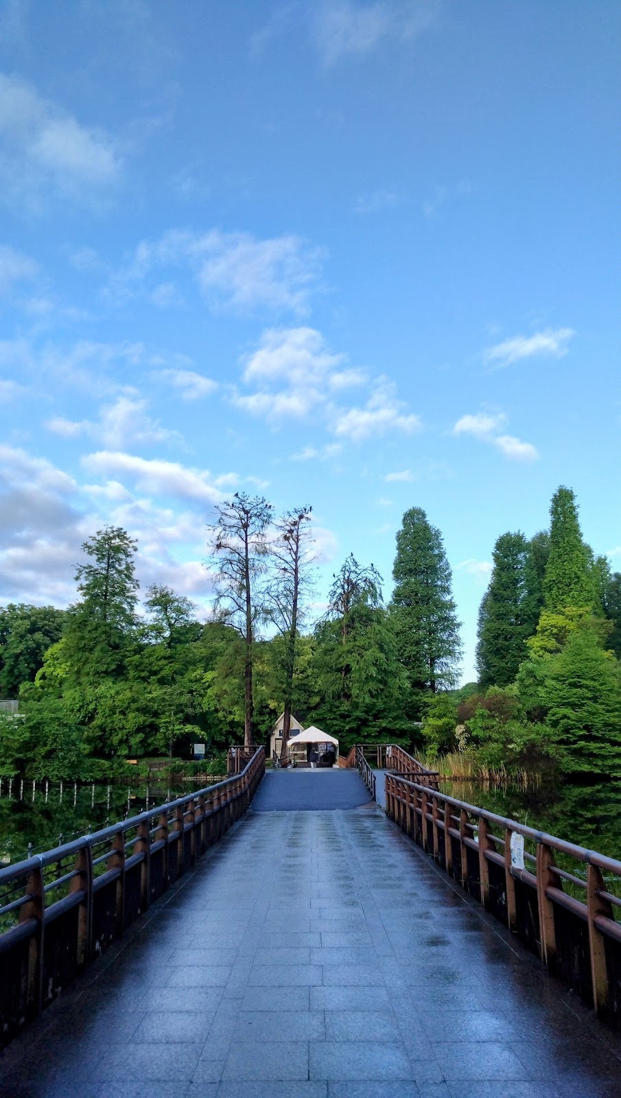 ボート池エリア