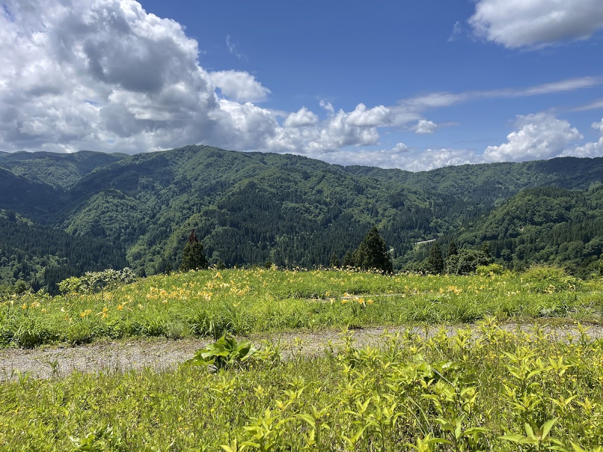 仙石原湿原 復元エリア