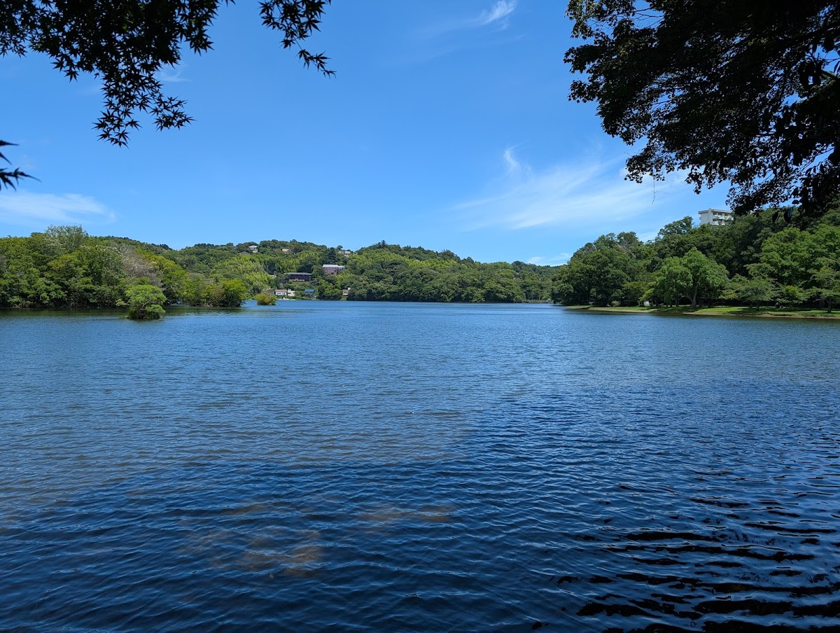 ボート乗り場付近