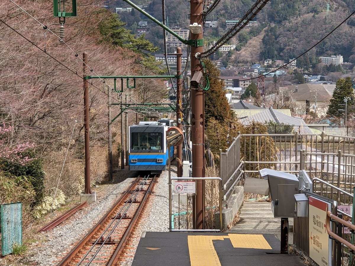 ケーブルカー沿いのあじさい