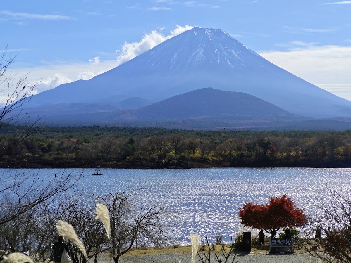 河口湖北岸 湖畔遊歩道