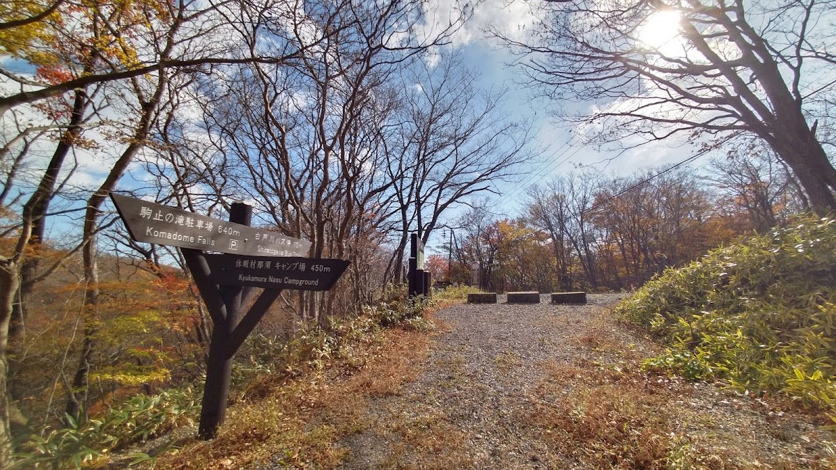 八幡自然研究路