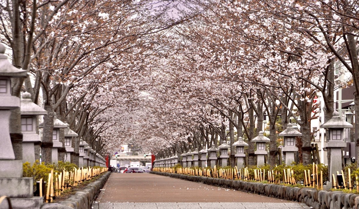 鶴岡八幡宮 鳥居・参道