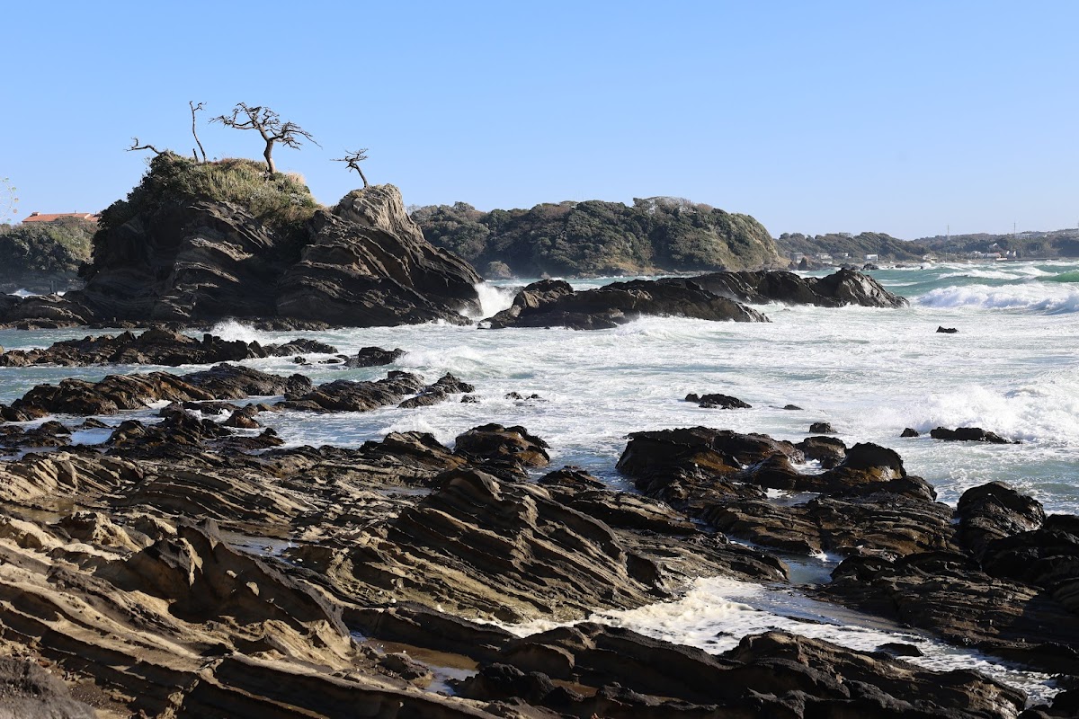 潮だまりエリア