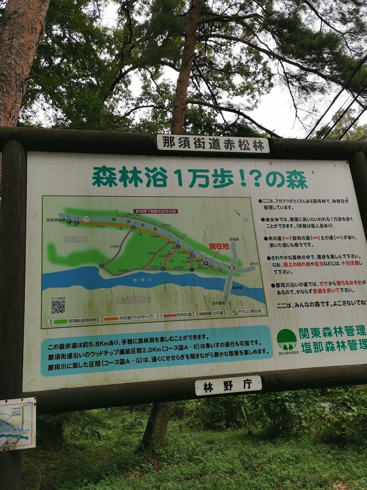 沢名川渓流撮影ポイント