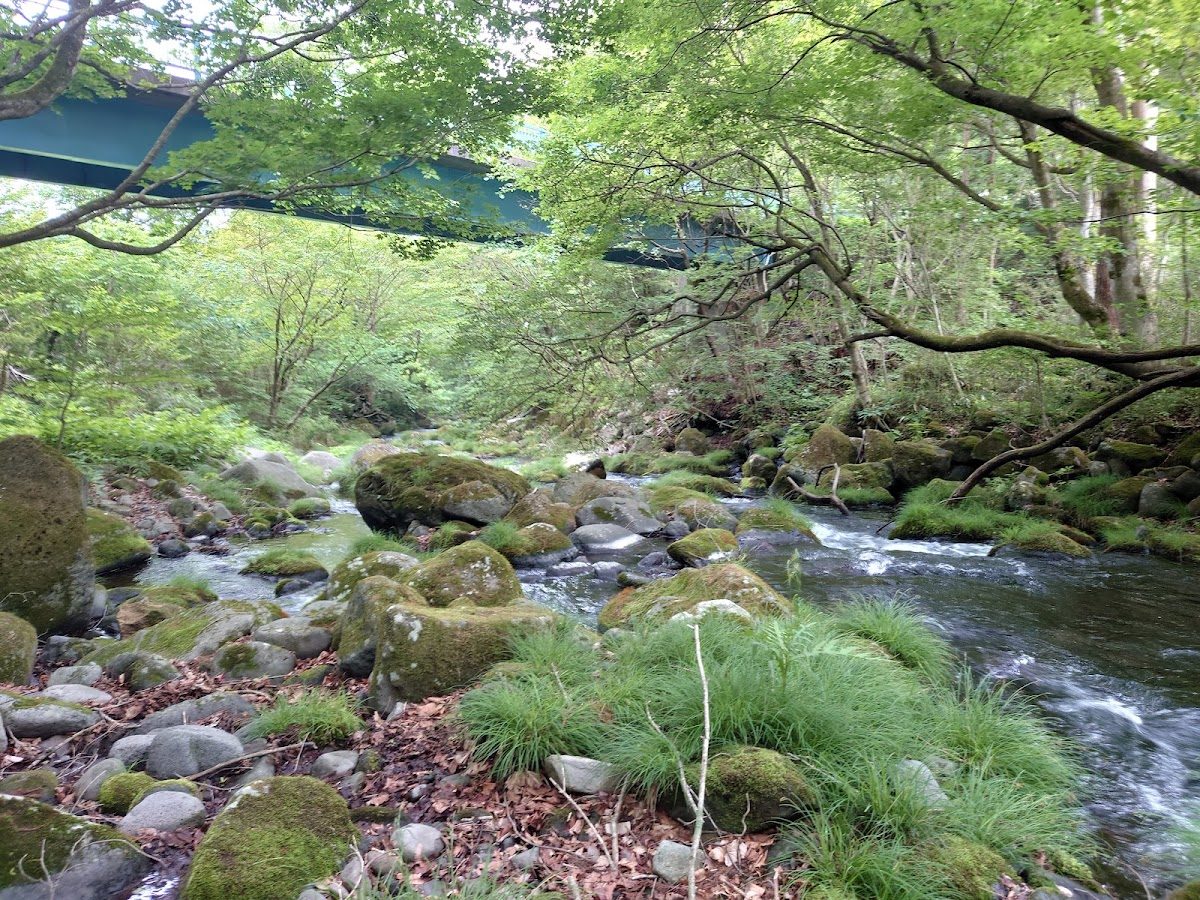 沢名川・滝壺エリア