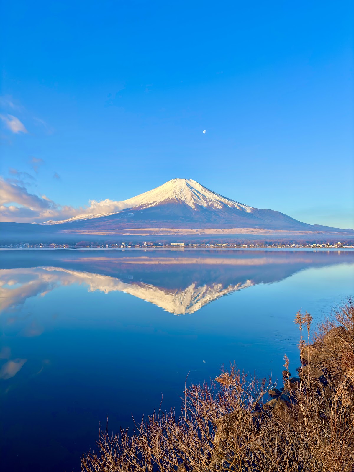 富士山ビューポイント